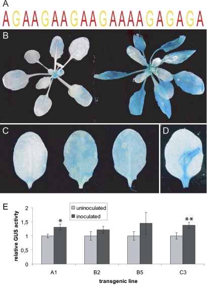 Fig. 1.