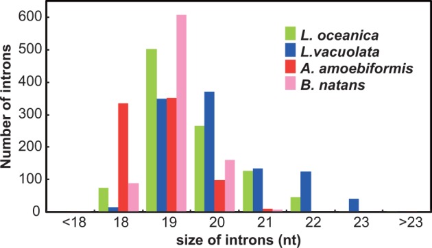 Fig. 4.—