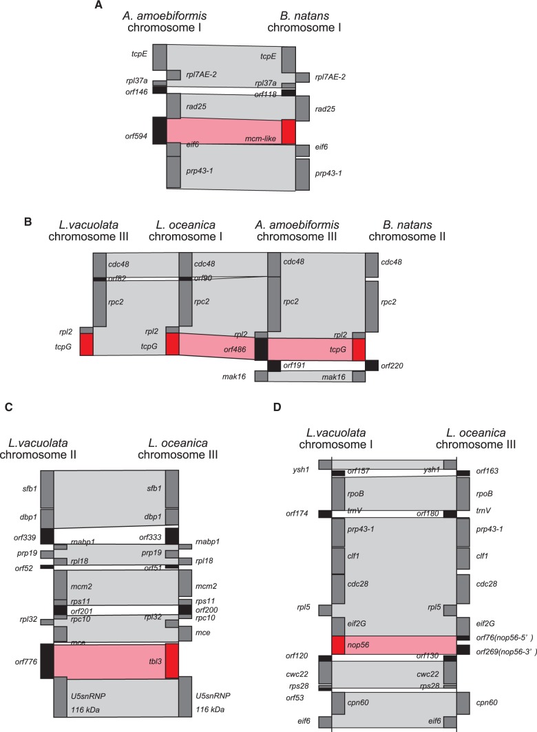 Fig. 6.—