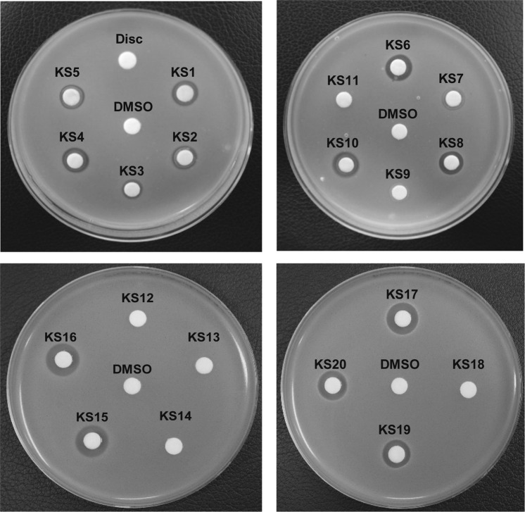 Figure 4