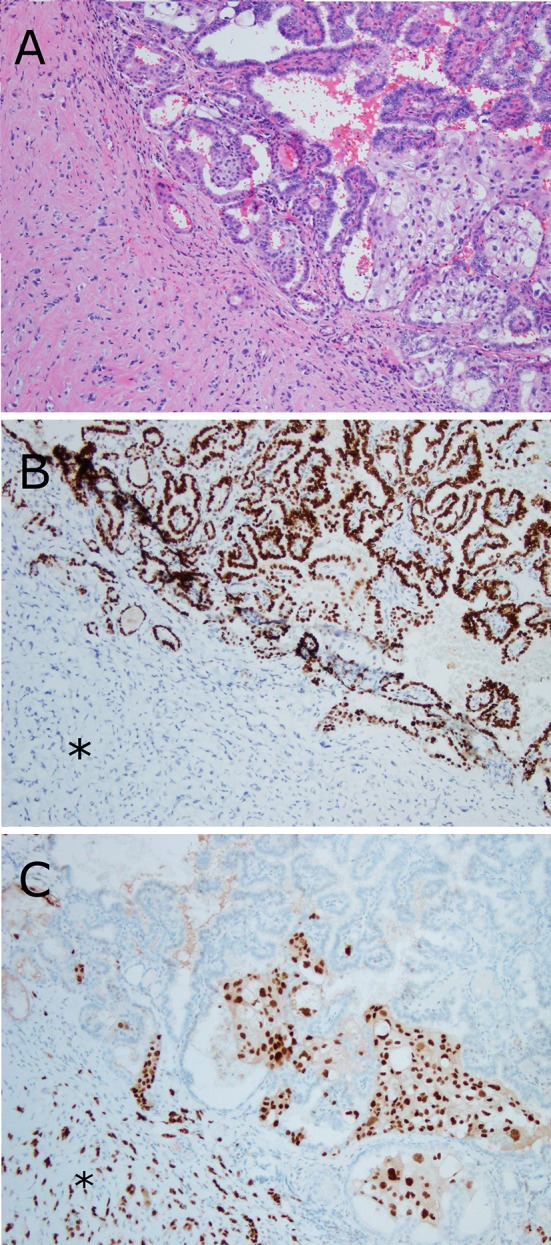 Fig. 2