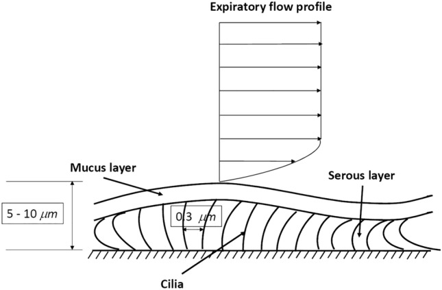 Fig. 16