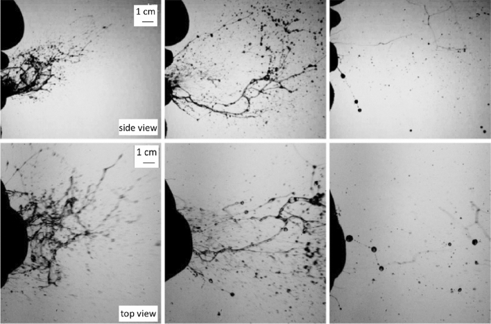 Fig. 14