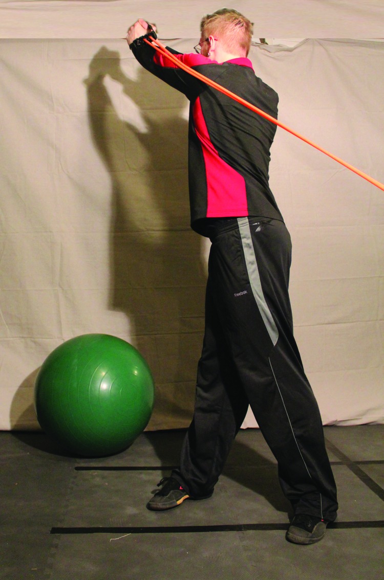 Figure 28d.
