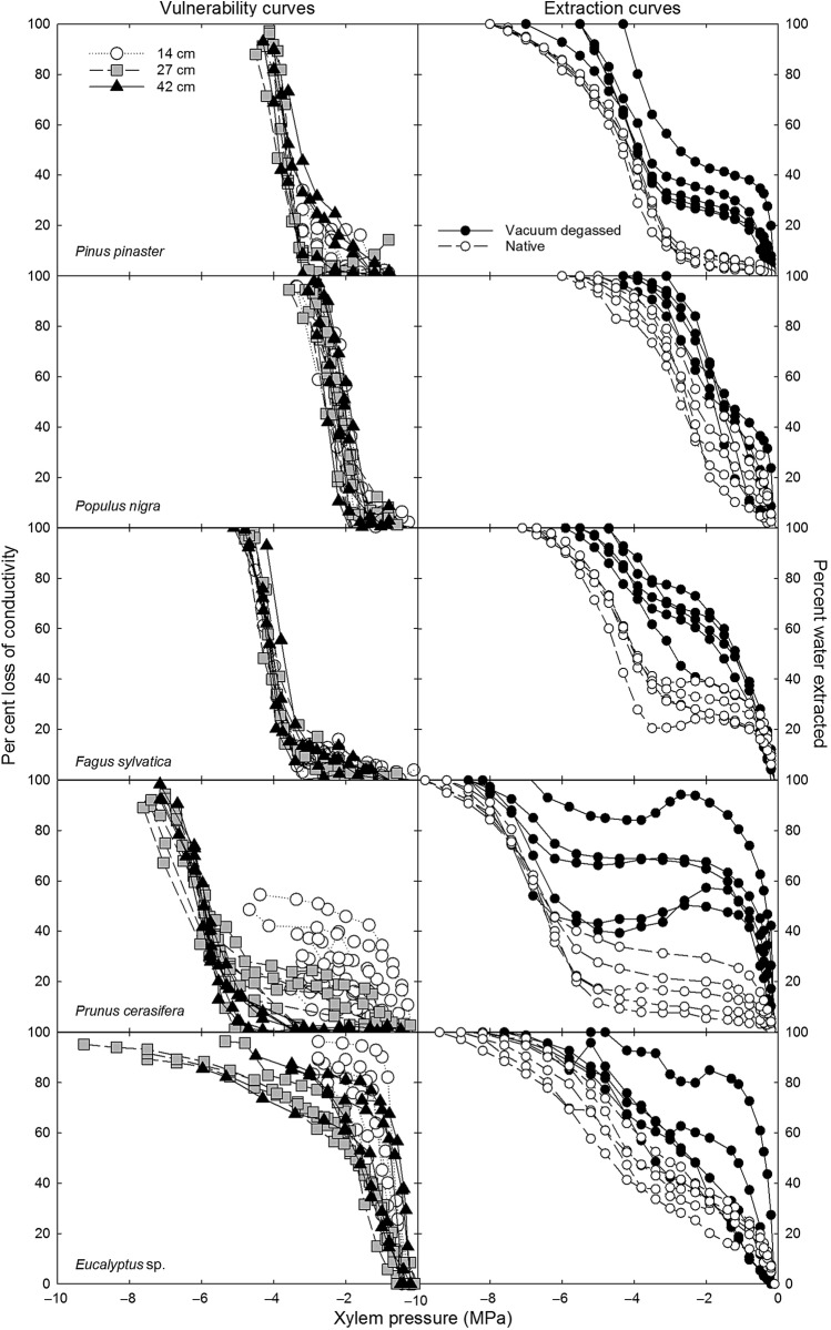 Figure 2.