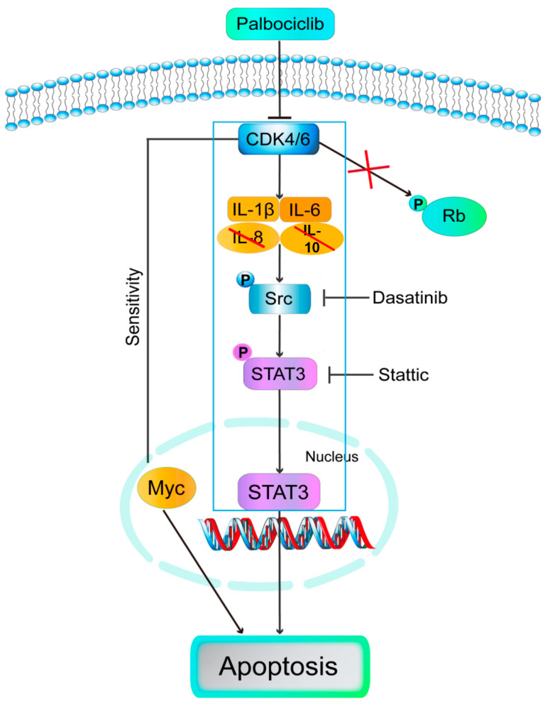 Figure 7