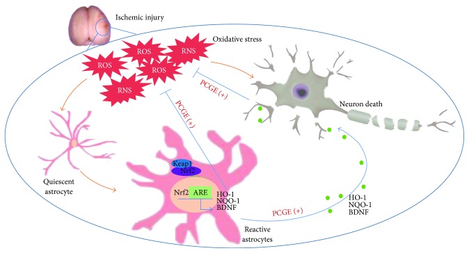 Figure 12