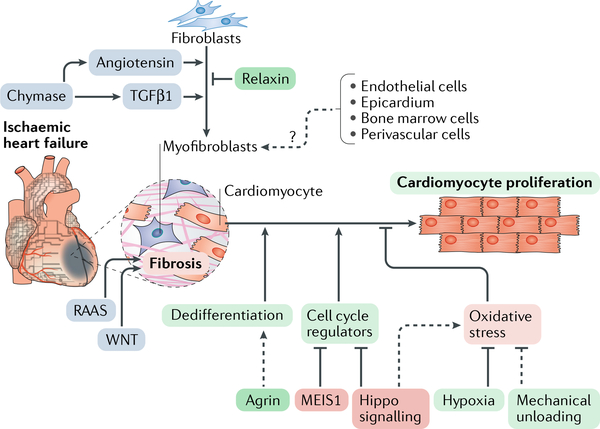 Fig. 4 |