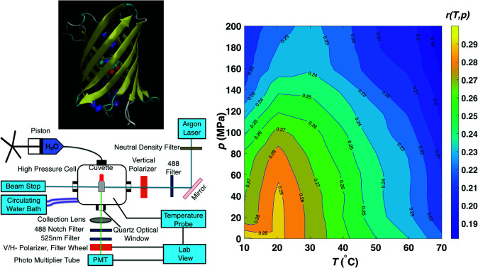 graphic file with name d1ra08977c-ga.jpg