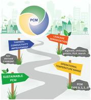 graphic file with name CSSC-18-2500288-g004.jpg