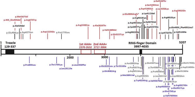 Figure 5