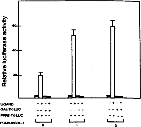 FIG. 6