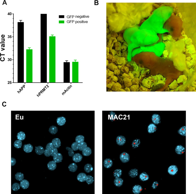 Figure 3—figure supplement 1.