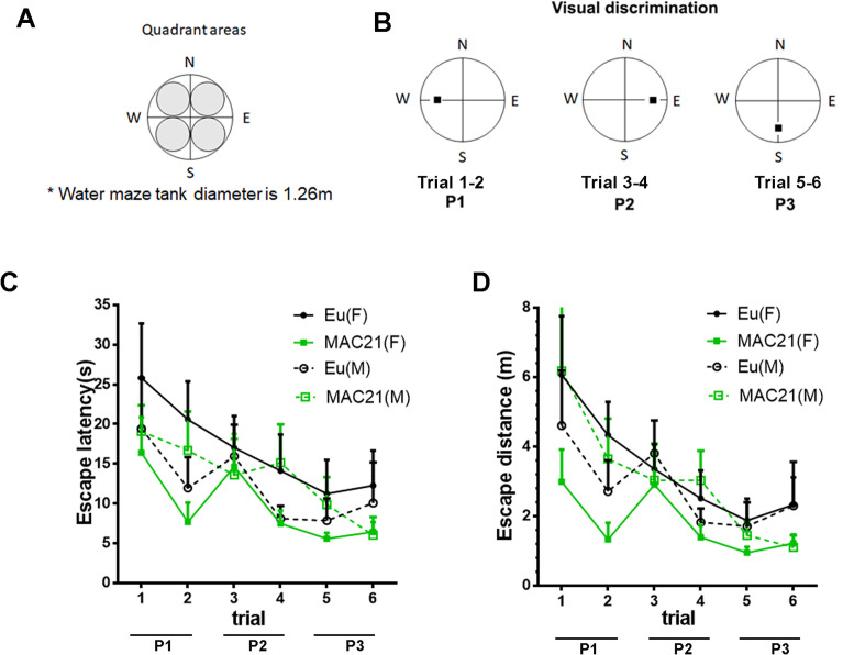 Figure 7—figure supplement 1.