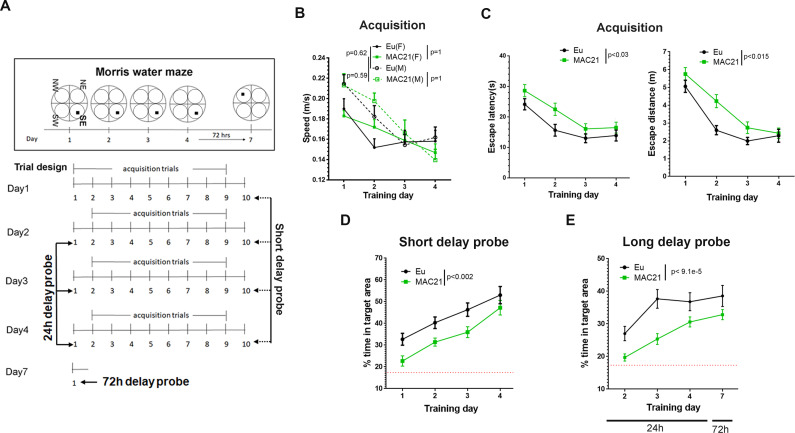 Figure 7—figure supplement 2.