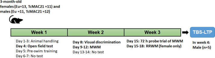 Figure 6—figure supplement 1.