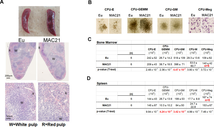 Figure 5—figure supplement 1.