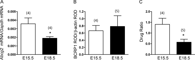 FIG. 1.