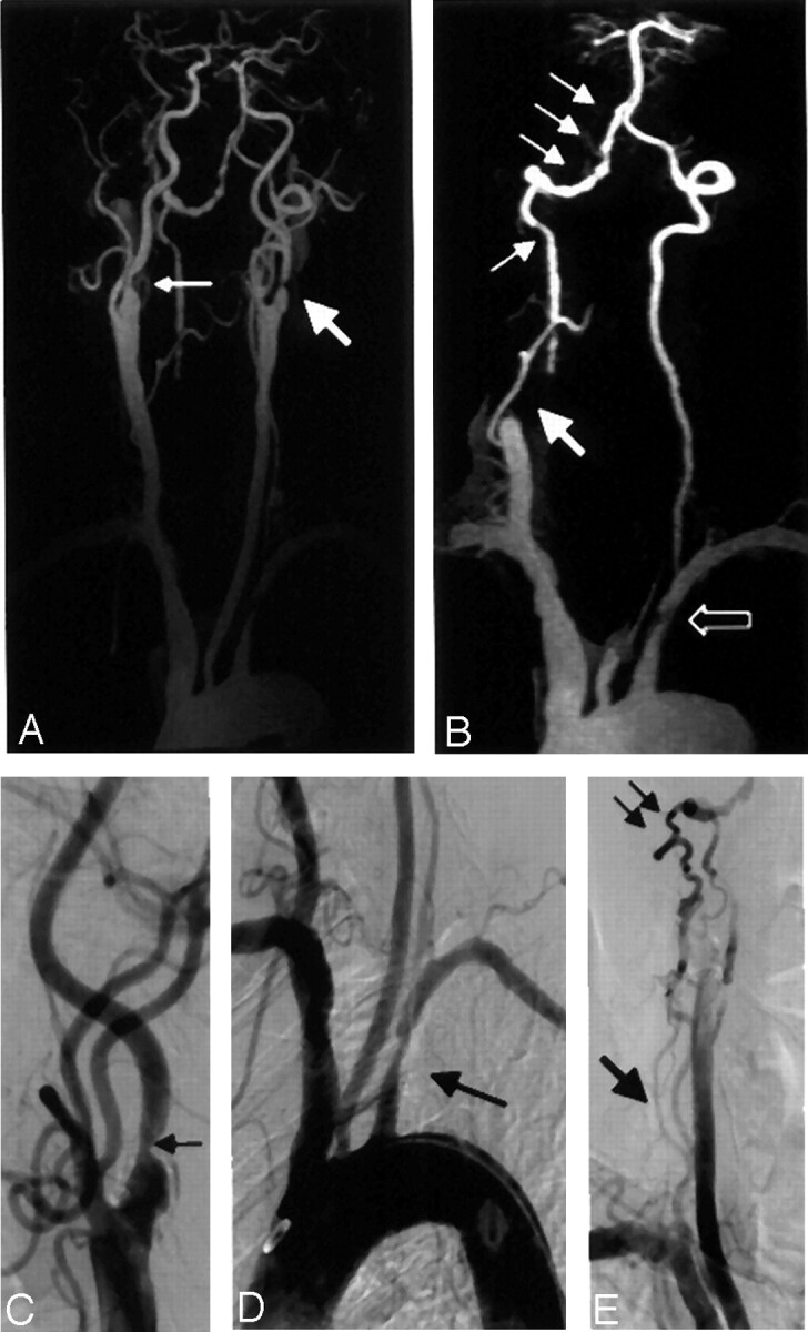 Fig 4.