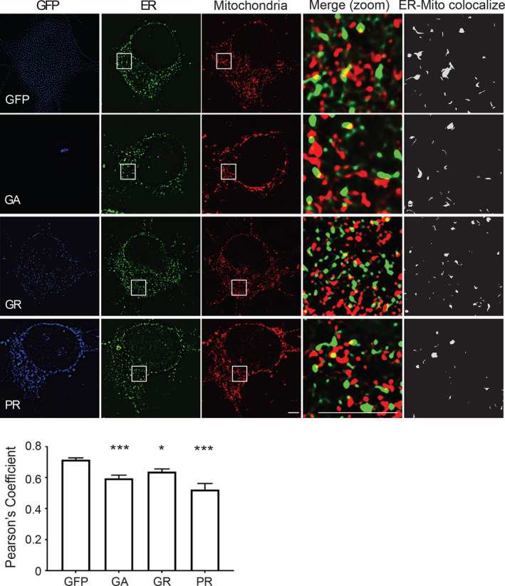 FIGURE 4