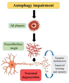 Fig. (11)