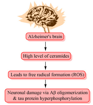 Fig. (14)