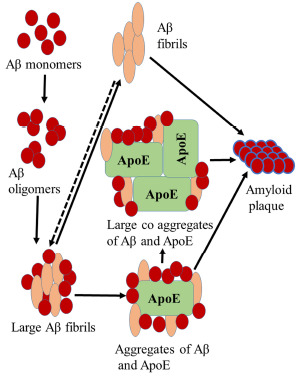 Fig. (6)