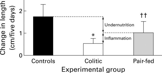 Figure 2  