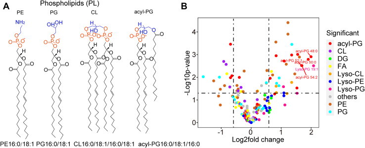 Fig. 1