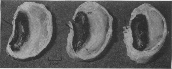 Fig. 3b