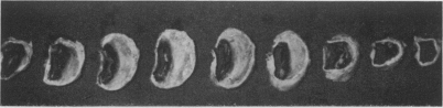 Fig. 3a