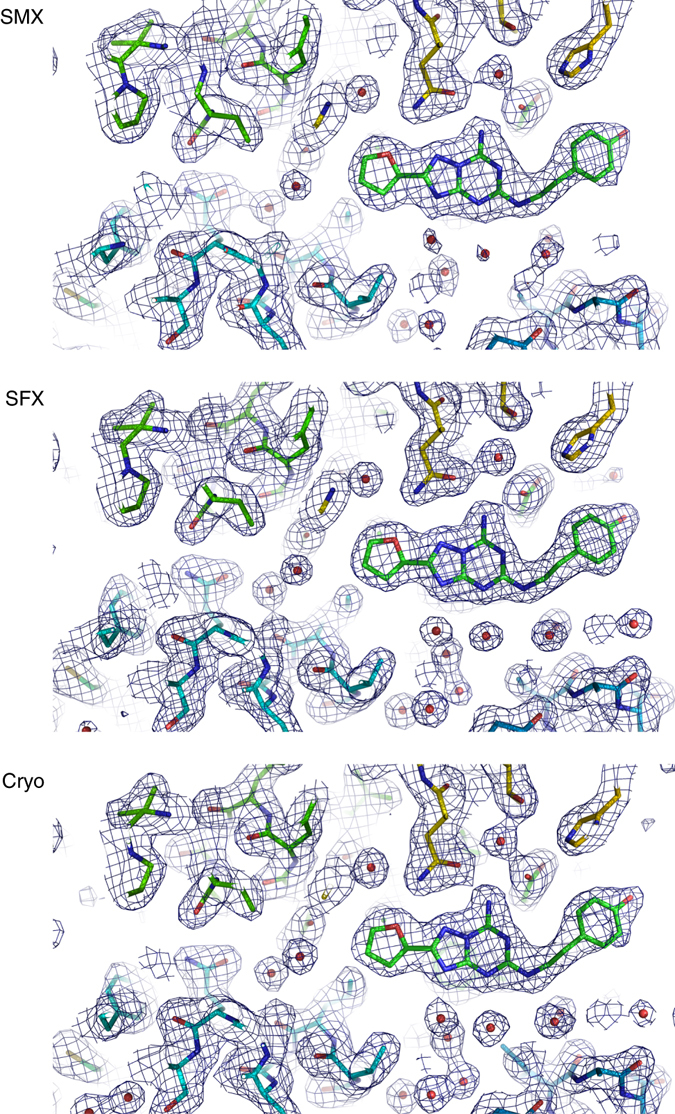 Fig. 6