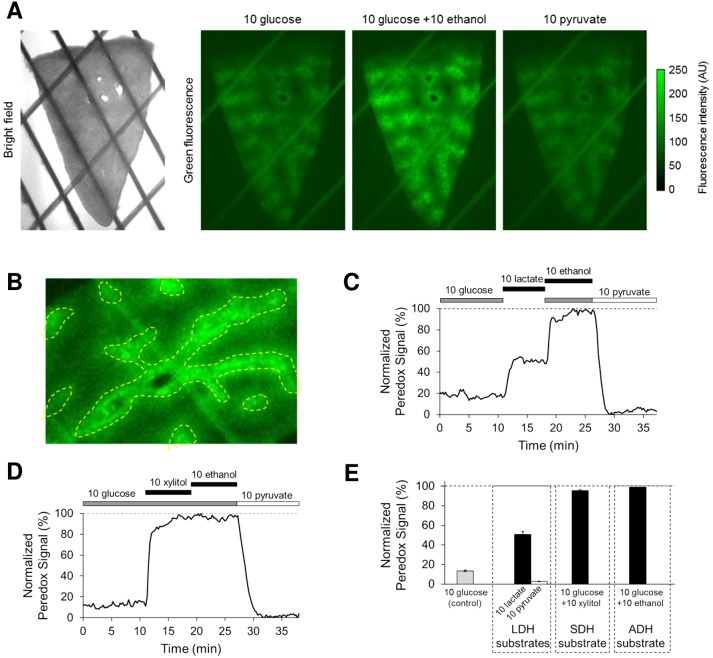 Fig. 4.