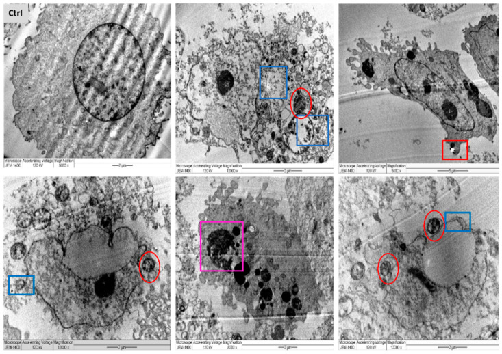 Figure 14