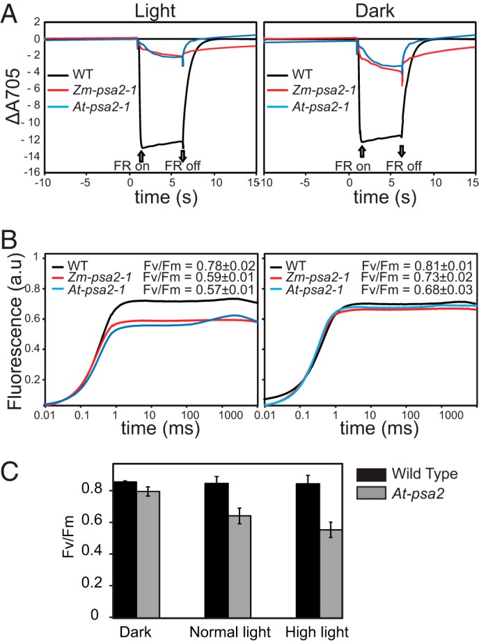 FIGURE 4.