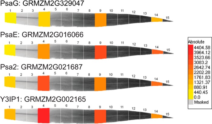 FIGURE 10.