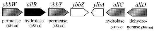 FIG. 5