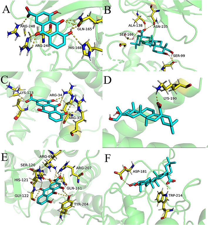 Fig. 8