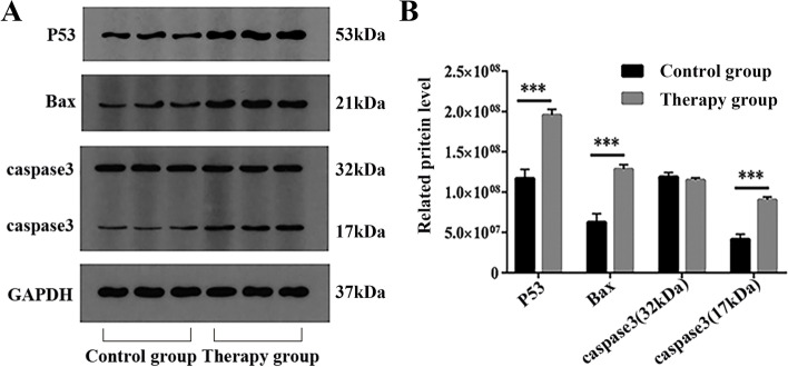 Fig. 12