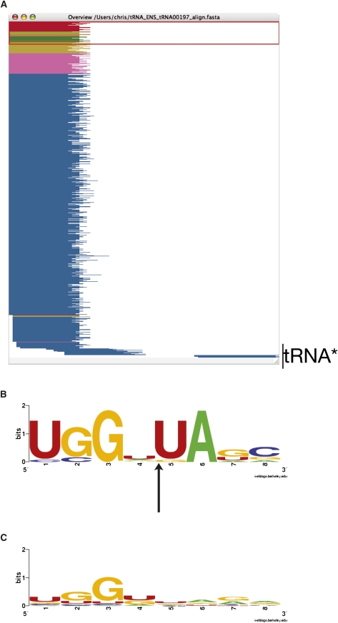 FIGURE 4.