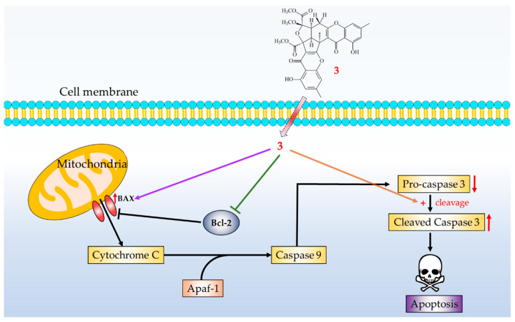 Figure 14