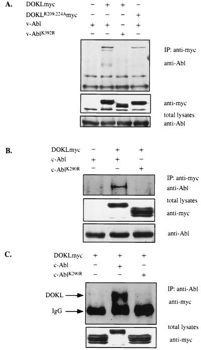 FIG. 5