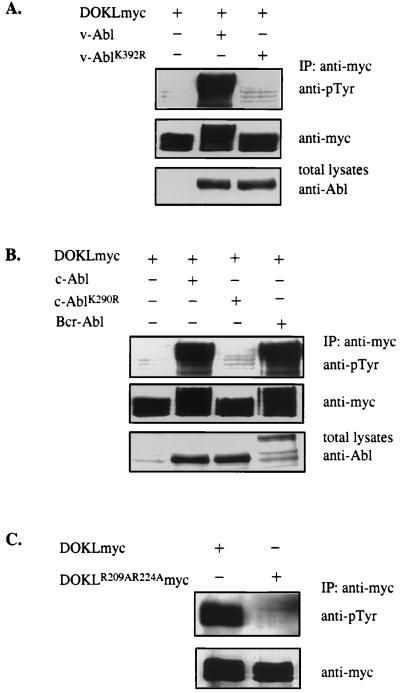 FIG. 7