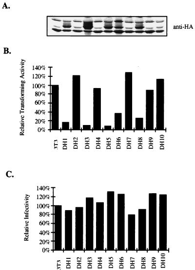 FIG. 9