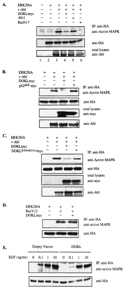 FIG. 8