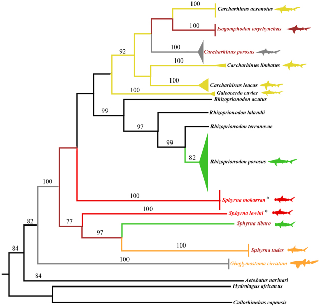 Figure 2