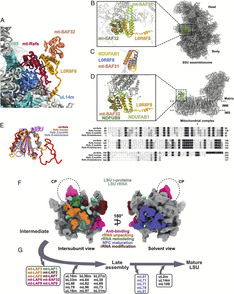 Fig. 7.