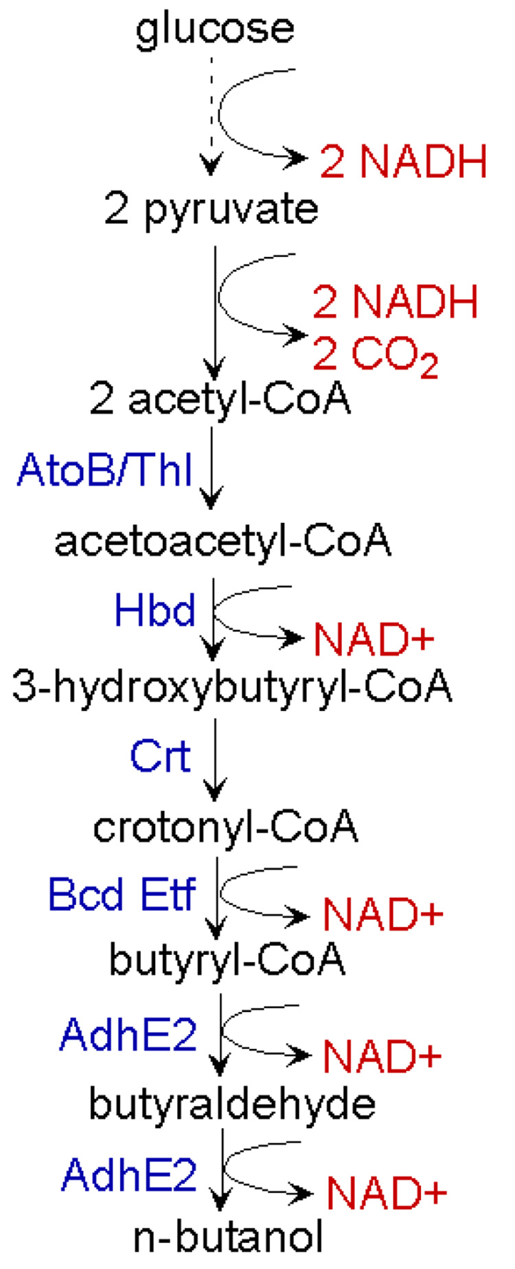 Fig.2