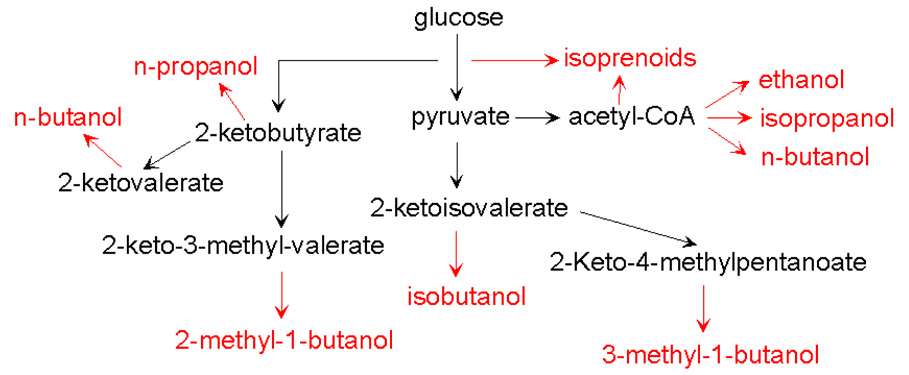 Fig.1