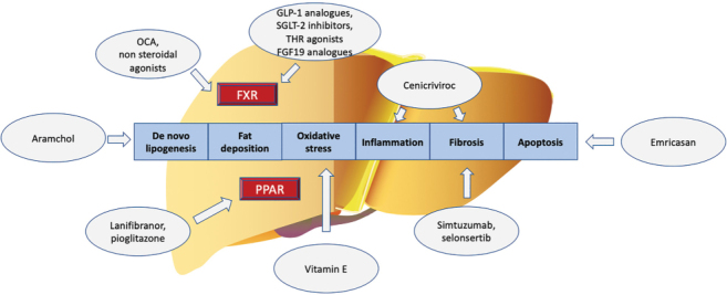 Figure 7: